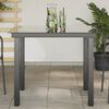 vidaXL Garden Dining Table Black Aluminum and Glass Medium Durable