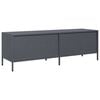 vidaXL TV Cabinet Anthracite Cold-rolled Steel Medium Adjustable Feet