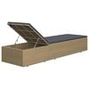 vidaXL Sunlounger Brown and Dark Grey PE rattan Standard Foldable