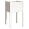 vidaXL Garden Planter Set of 2 White Solid pinewood Medium
