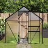 vidaXL Greenhouse Anthracite with clear panels Aluminum, Polycarbonate