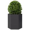 vidaXL Garden Planter Set of 2 Black Steel Medium Durable