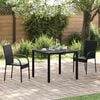 vidaXL Dining Chair Set of 2 Black PE rattan and powder-coated steel