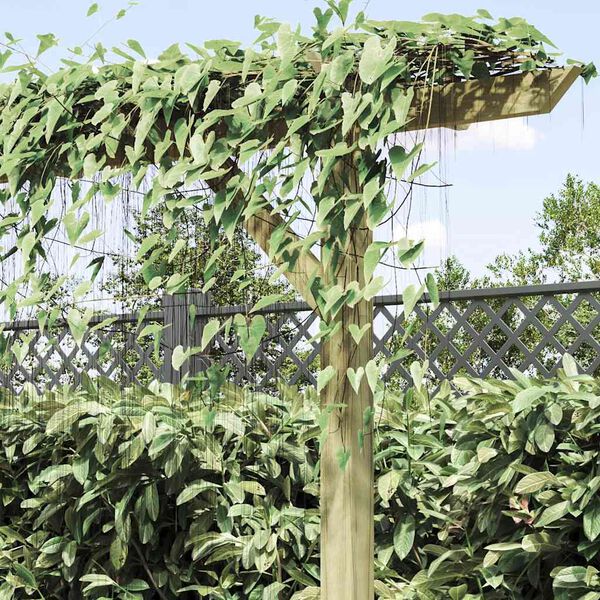 vidaXL Pergola Green Pine wood, green treated Large Durable