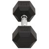 vidaXL Dumbbells 2 pcs 35.3 lb Total Cast Iron