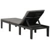vidaXL Sunlounger Anthracite Plastic Large Multi-Position Backrest