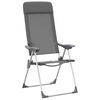 vidaXL Folding Camping Chairs 2 pcs Gray Aluminum