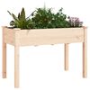 vidaXL Planter Natural Wood Solid Fir Wood Large Decorative Inlays
