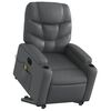 vidaXL Electric Stand Up Massage Recliner Chair Gray