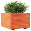 vidaXL Garden Planter Wax Brown Solid pinewood Medium Durable
