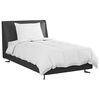 vidaXL Summer Duvet with Pillow 2 pcs White Down Feather