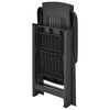 vidaXL Garden Chair Set of 2 Anthracite Plastic Standard Foldable