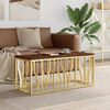 vidaXL Coffee Table Gold Stainless Steel, Solid Reclaimed Wood Medium
