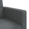 vidaXL Sofa Bed Dark Grey Polyester, Foam, Plywood Medium