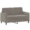 vidaXL 2-seater Sofa Light grey Velvet (100% polyester), metal, plywood