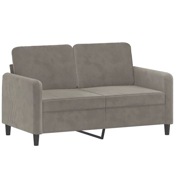 vidaXL 2-seater Sofa Light grey Velvet (100% polyester), metal, plywood