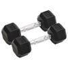 vidaXL Dumbbells 2 pcs 22.0 lb Total Cast Iron