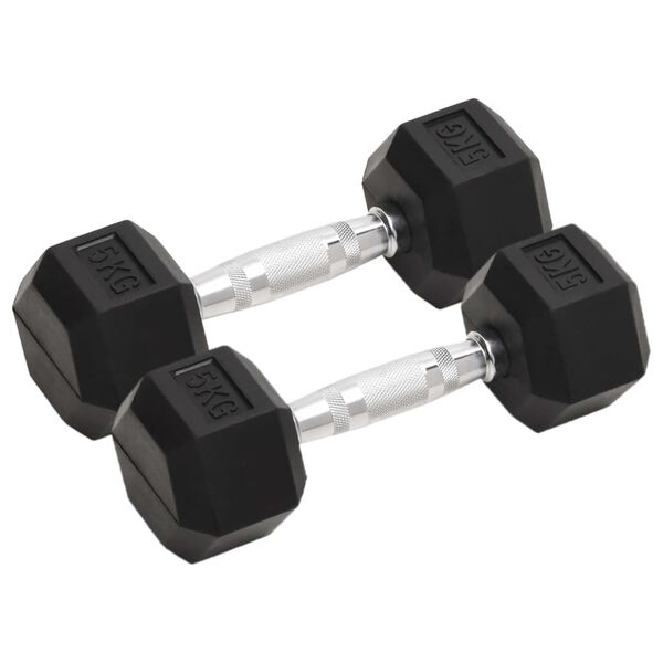 vidaXL Dumbbells 2 pcs 22.0 lb Total Cast Iron