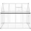 vidaXL Greenhouse Silver and Transparent Aluminum, Polycarbonate Large