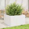 vidaXL Garden Planter White Solid pinewood 31.5 x 31.5 x 18.1 in