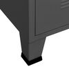 vidaXL TV Cabinet Anthracite Metal 41.3x13.8x16.5 in TV Cabinet