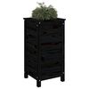 vidaXL Garden Planter Black Solid pine wood Medium Decorative Inlays