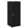 vidaXL Storage Cabinet Black Engineered wood Compact Storage Cabinet
