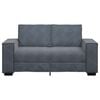 vidaXL 2-Seater Sofa Dark Grey Velvet 47.2 in width Durable