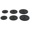 vidaXL Weight Plates 6 pcs 66.1 lb Cast Iron