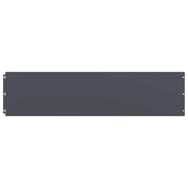 vidaXL Lawn Edgings 10 pcs Anthracite 9.8x40.6" Cold-rolled Steel