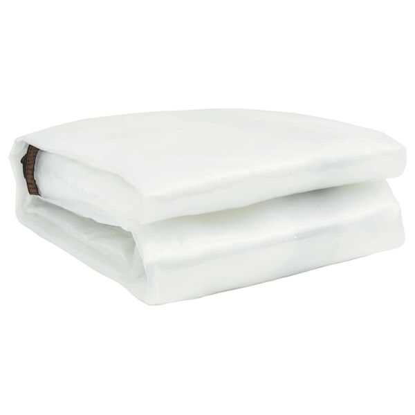vidaXL Clear Tarpaulin with Eyelets 19.7x39.4' Polyethylene