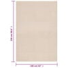 vidaXL Rug Beige 100% Polyester 63.0 x 90.6 in Portable Rug