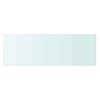 vidaXL Glass Panel Set of 2 Clear Tempered Glass 23.6 x 7.9 in Durable