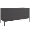 vidaXL TV Cabinet Black Steel 39.6 x 15.4 x 19.9 in TV Cabinet