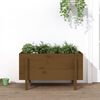 vidaXL Garden Raised Bed Honey Brown Solid Pine Wood Medium