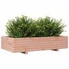 vidaXL Garden Planter Natural Wood Solid Douglas Fir wood Medium Durable