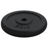 vidaXL Weight Plate 44.1 lb Cast Iron