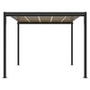 vidaXL Garden Gazebo Anthracite Aluminum 10ft x 10ft