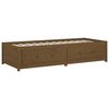 vidaXL Day Bed Honey Brown Solid pine wood, plywood 35.4 x 78.7 in