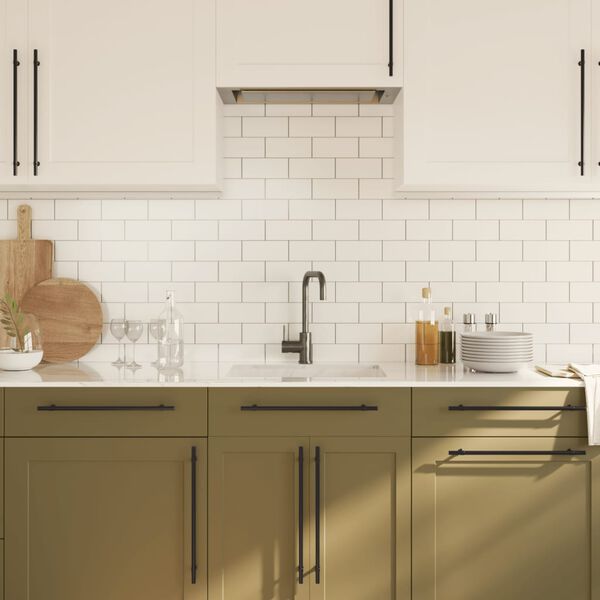 vidaXL Cabinet Handle Set of 20 Black Stainless Steel