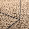 vidaXL Rug Beige Polypropylene 39.4 x 78.7 in Durable Rug