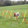Kerbl Dog Agility Gear Red, Yellow Plastic Agility Training Set Other