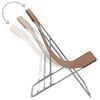 vidaXL Beach Chair Set of 2 Brown