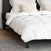 vidaXL Duvet Set with Pillow 3 pcs White Down Feather