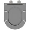 vidaXL Quick Release Toilet suitable for Seat Gray 44 x 36.4 x 3.4 cm