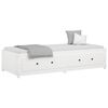 vidaXL Day Bed White Solid pine wood and plywood Twin