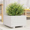vidaXL Garden Planter White Solid pinewood 15.7 x 15.7 in Durable
