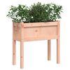 vidaXL Garden Planter Set of 2 Natural wood Solid Douglas Fir Wood