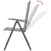 vidaXL Reclining Chair Set of 2 Anthracite E-coated, powder-coated steel