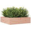 vidaXL Garden Planter Natural Wood Solid Douglas Fir Wood Large